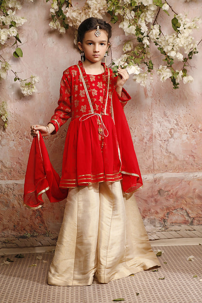 Embroidered Ethnic Plazo Suit | EG17 | P3044