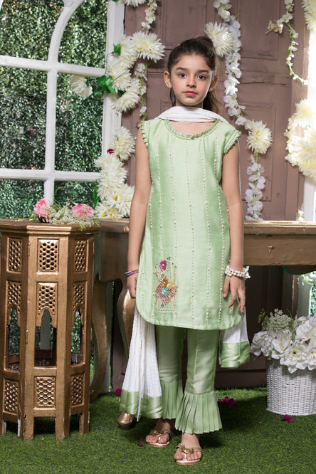 Embroidered Cotton Net 3pc Suit | SS18 | S1347