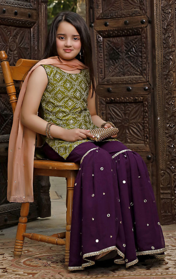 Aari Mirror Embroidered Raw Silk Gharara Suit | WC1920 | G3012