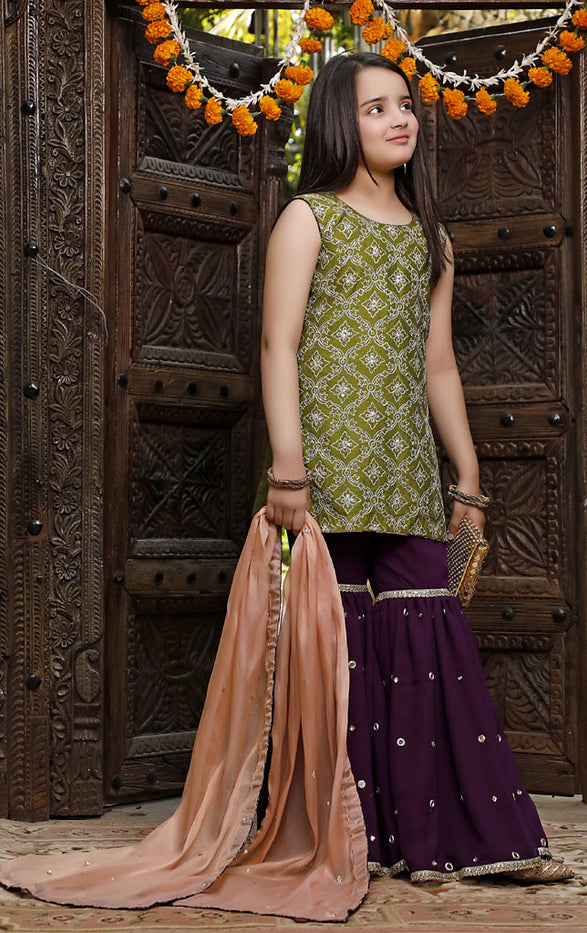 Aari Mirror Embroidered Raw Silk Gharara Suit | WC1920 | G3012