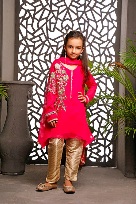 Embroidered Ethnic 3pc Suit | EG17 | D410
