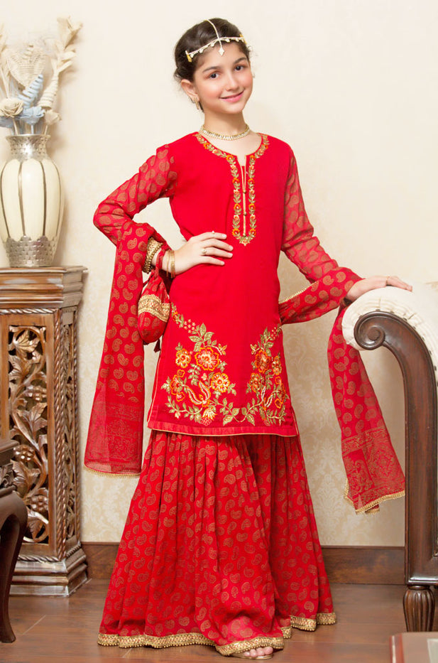 Embroidered Ethnic Gharara Suit | GFC16 | G667