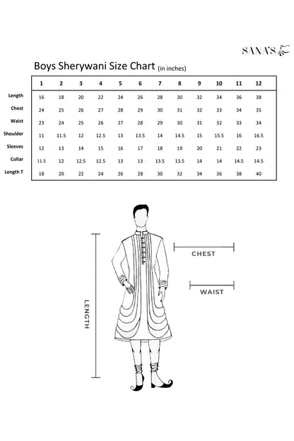 Embroidered Velvet Sherwani Suit | WC1718 | B509 - SANA'S