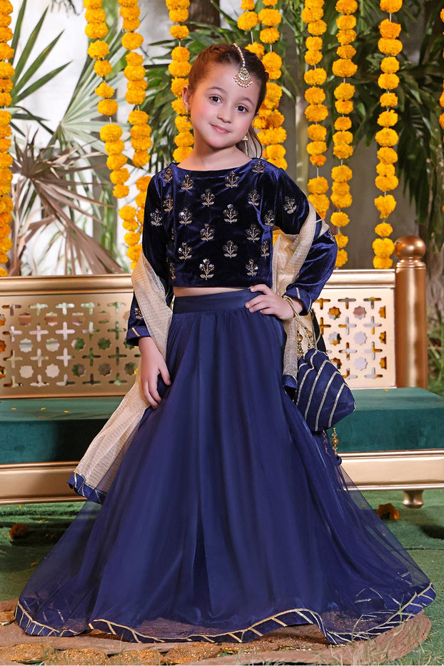 Handwork Boti Embroidered Velvet Lehenga Choli | ZEENAT | L3131 & L123131