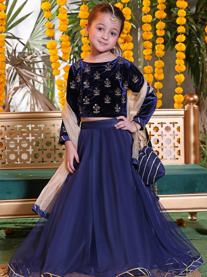 Handwork Boti Embroidered Velvet Lehenga Choli | ZEENAT | L3131 & L123131