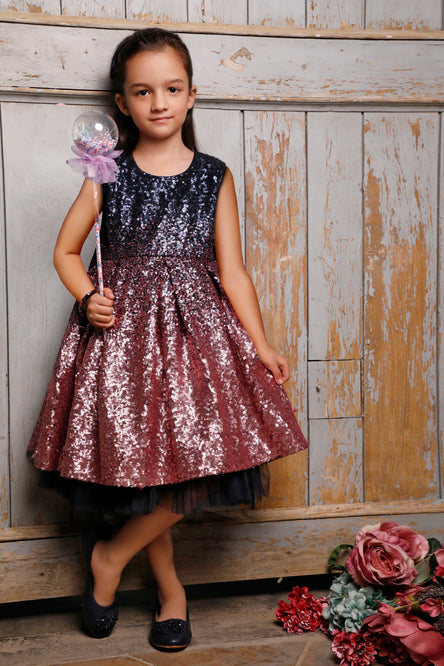 Two Tone Sequins Net Frock | WC1920 | F2068