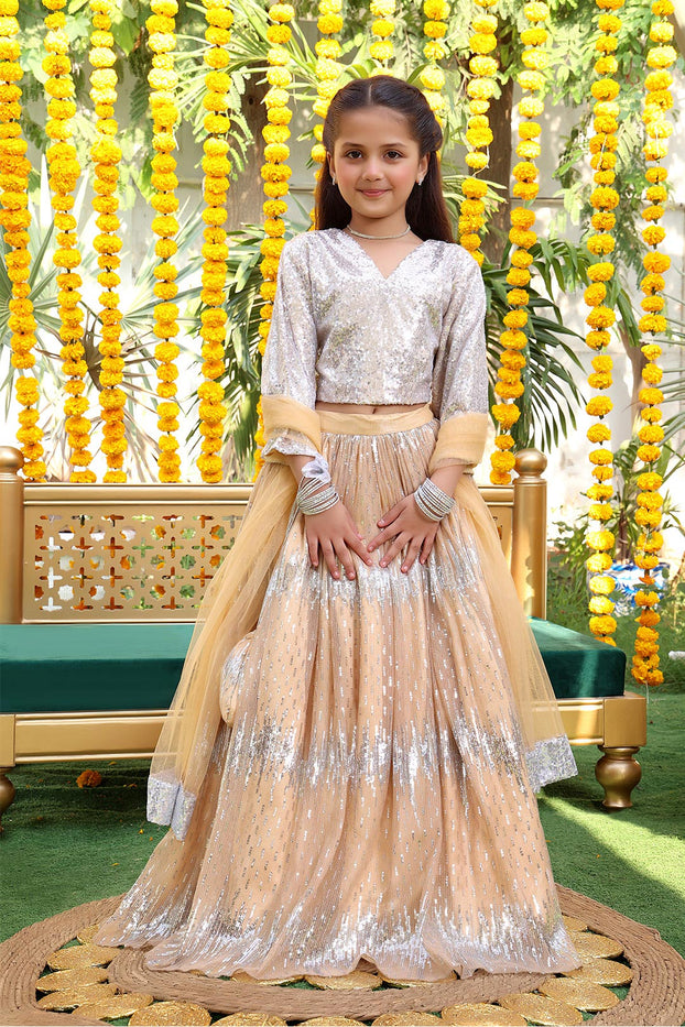 Self Sequins & Net Lehenga Choli | ZEENAT | L3138