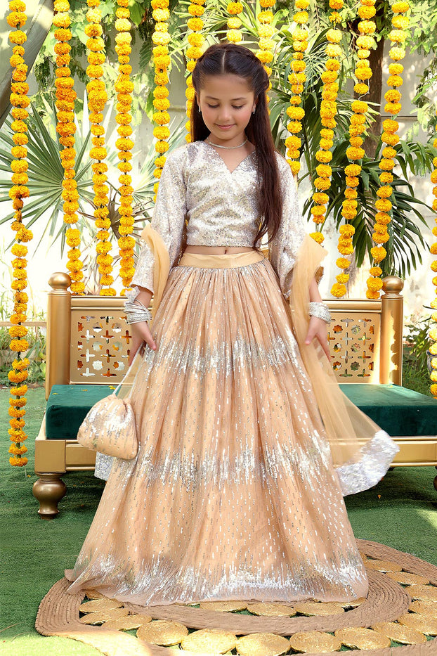 Self Sequins & Net Lehenga Choli | ZEENAT | L3138