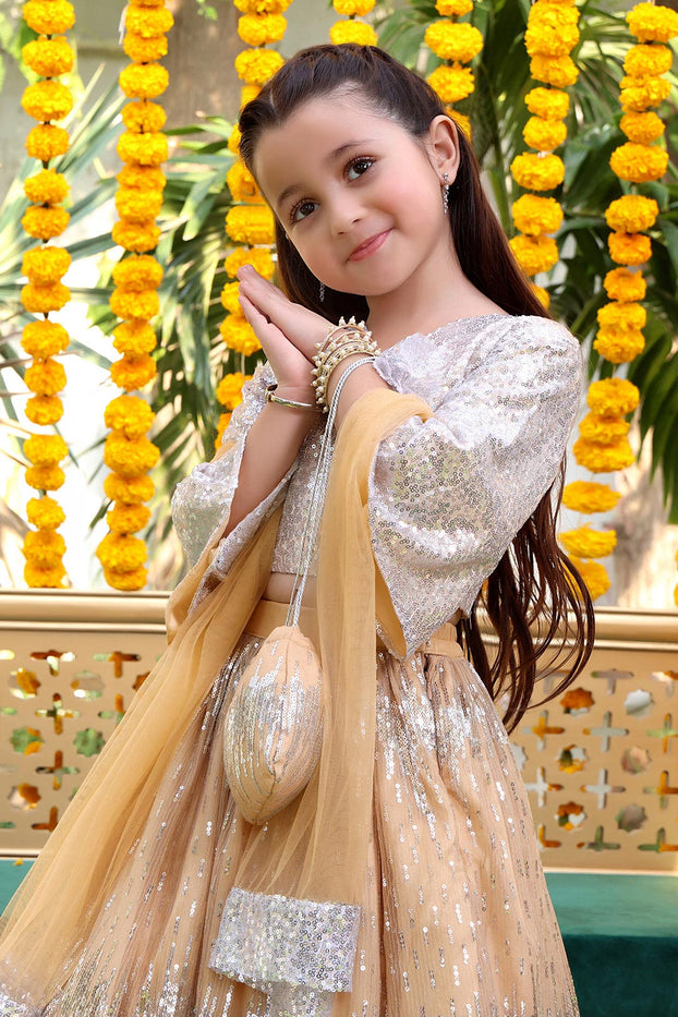 Self Sequins & Net Lehenga Choli | ZEENAT | L3138