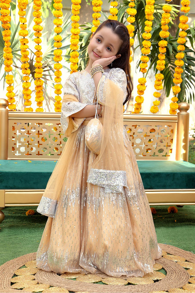 Self Sequins & Net Lehenga Choli | ZEENAT | L3138