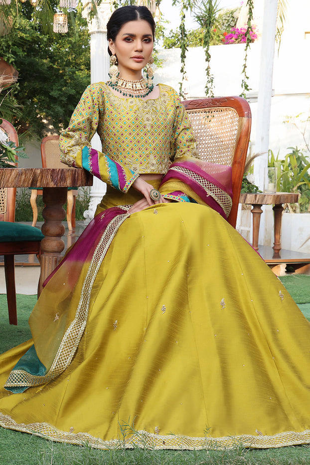 Beautiful Raw Silk Lehenga-Choli. Embellished with beautiful embroidery  work. Floral design with s… | Rajputi dress, Designer bridal lehenga,  Trendy blouse designs